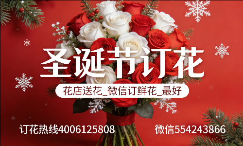 ���ݺ����ػ���