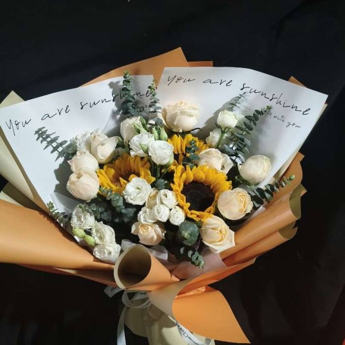 ���ݺ����ػ���