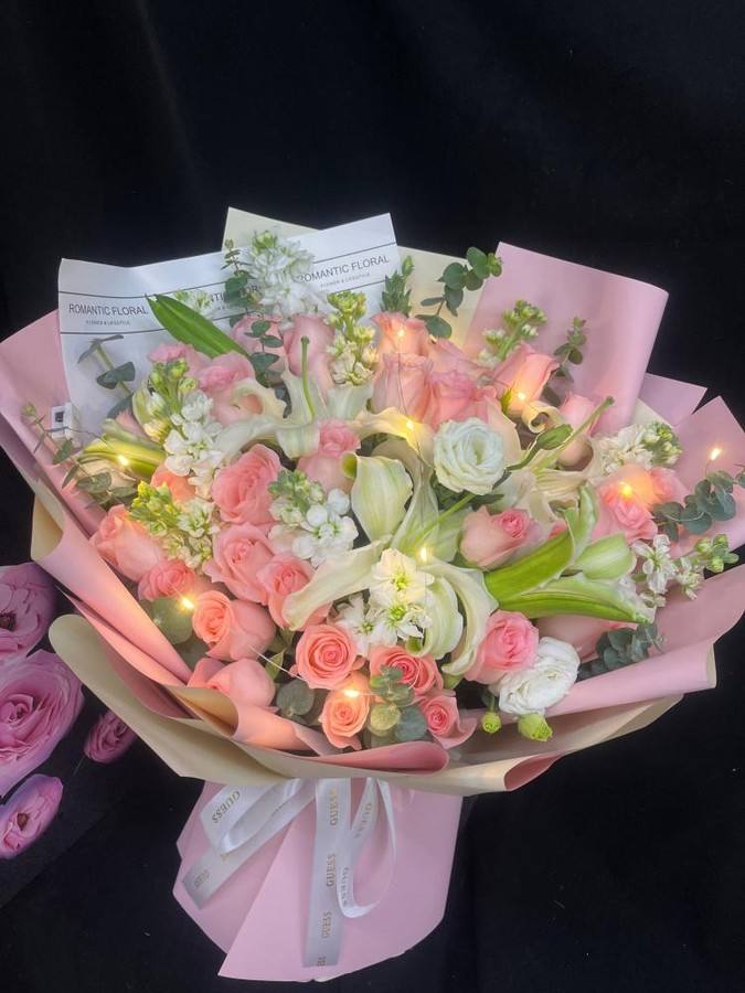 ���ݺ����ػ���