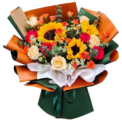 ���ݺ����ػ���